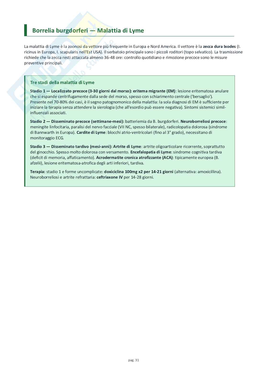 Microbiologia speciale e medica Pag. 31
