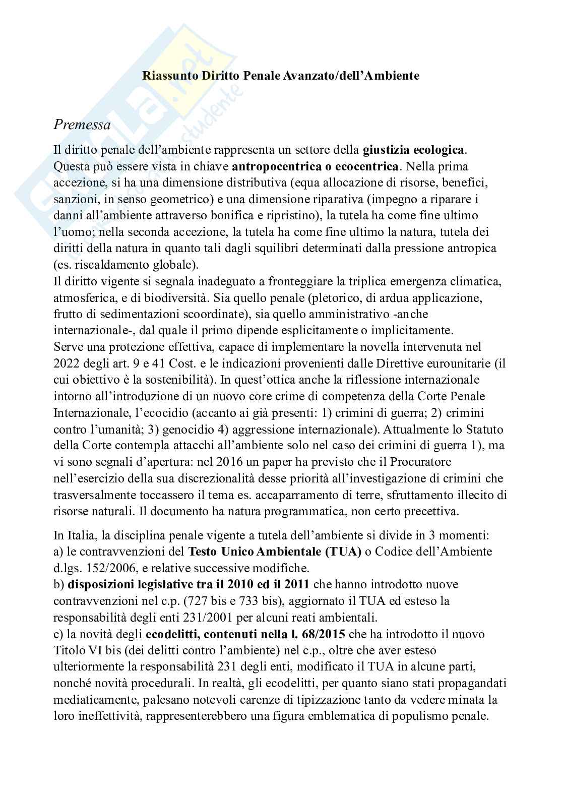 Diritto penale dell'ambiente - Diritto penale d'impresa e reati ecologi Pag. 1