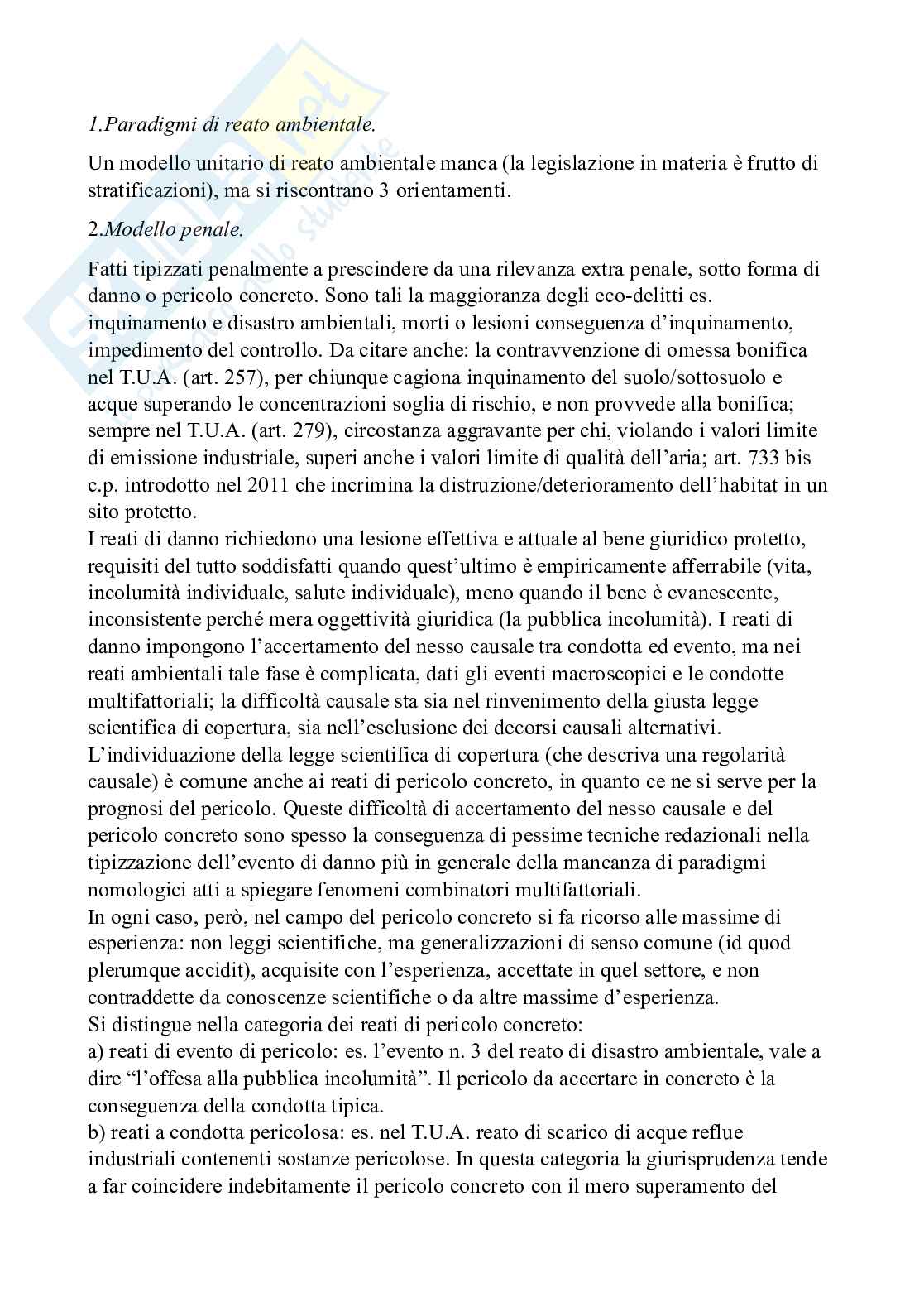 Diritto penale dell'ambiente - Diritto penale d'impresa e reati ecologi Pag. 11