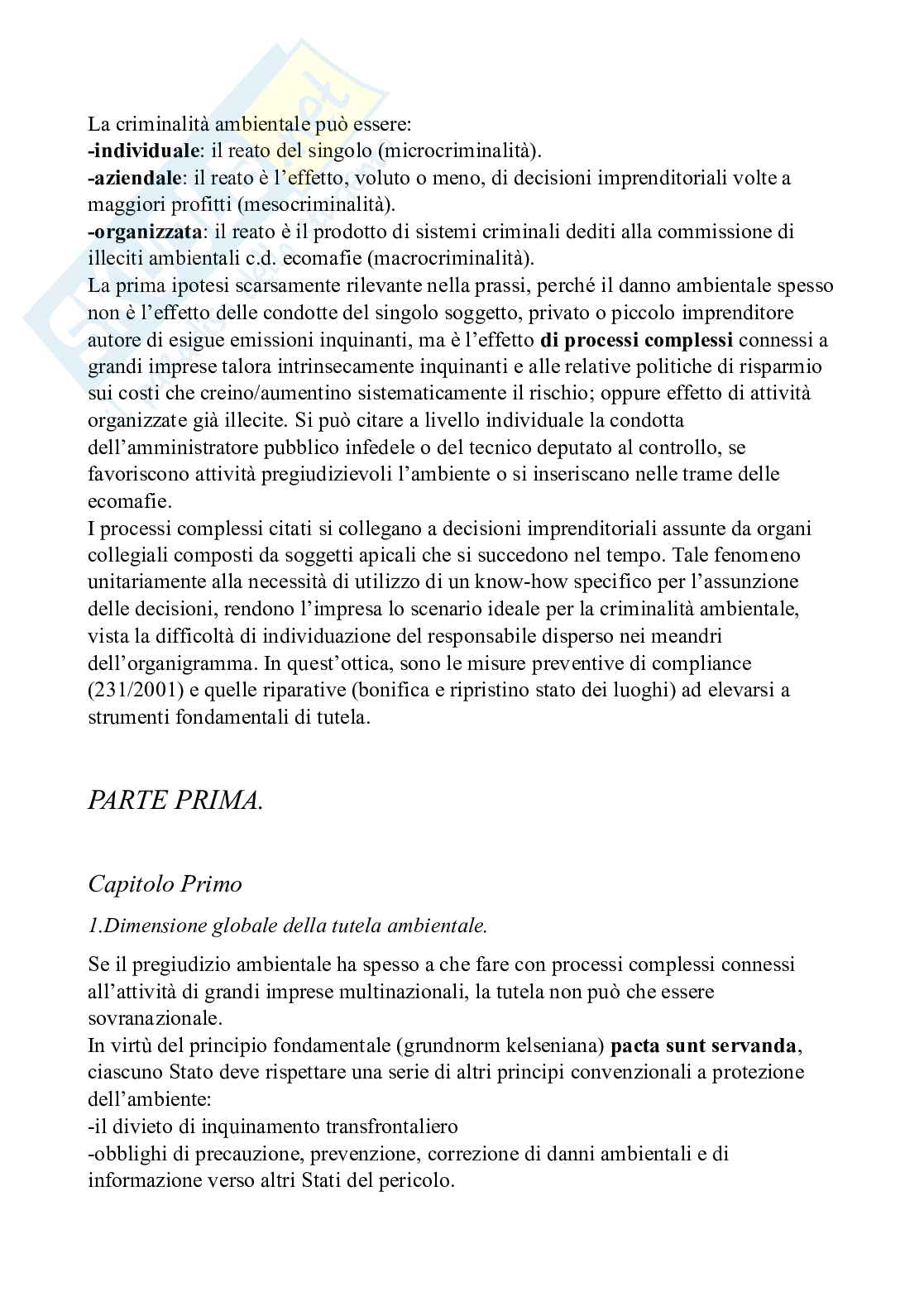 Diritto penale dell'ambiente - Diritto penale d'impresa e reati ecologi Pag. 2