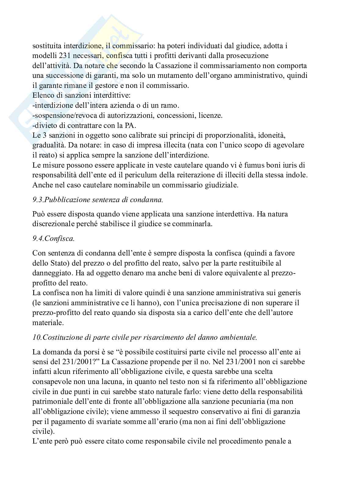 Diritto penale dell'ambiente - Diritto penale d'impresa e reati ecologi Pag. 46
