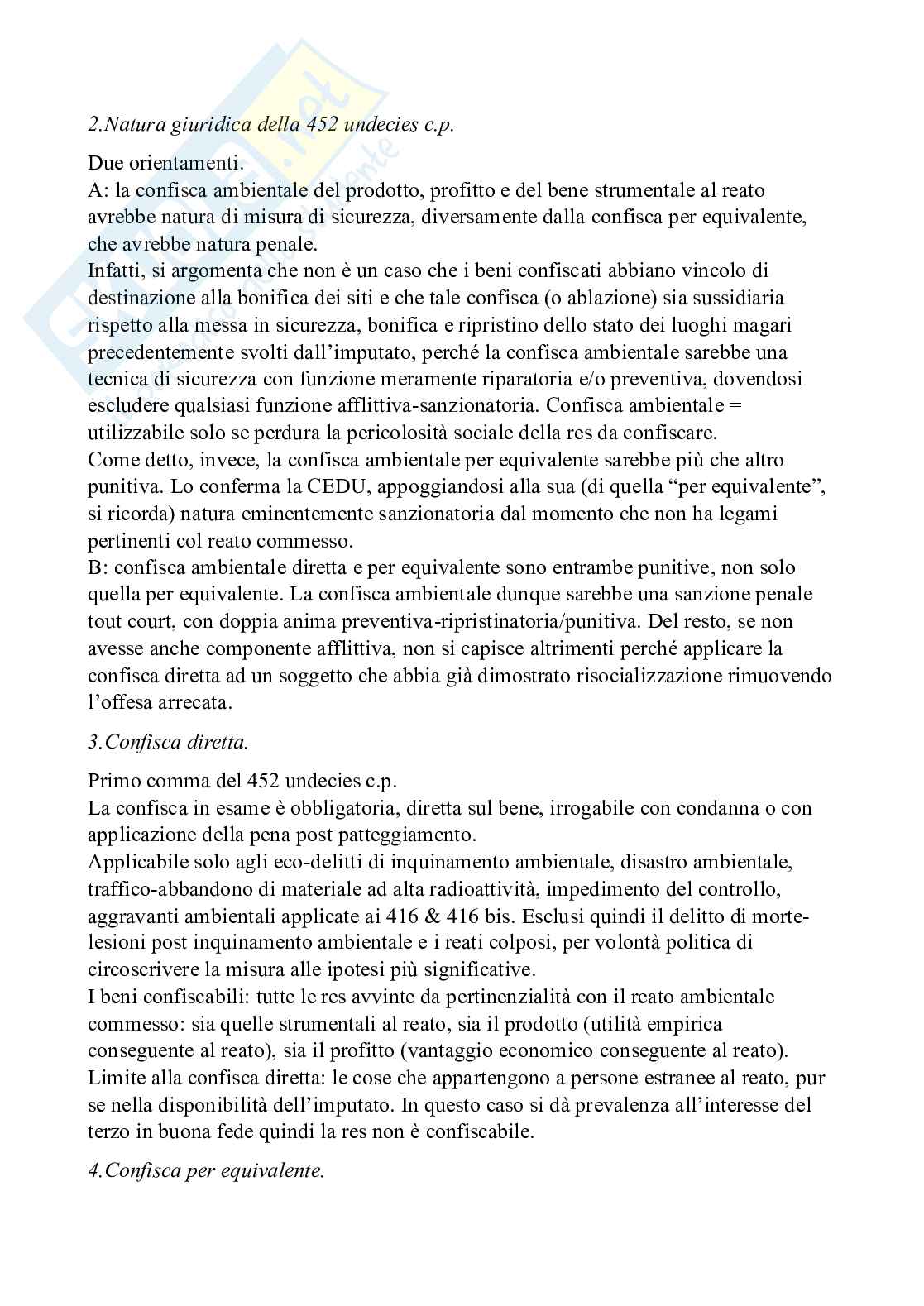Diritto penale dell'ambiente - Diritto penale d'impresa e reati ecologi Pag. 51