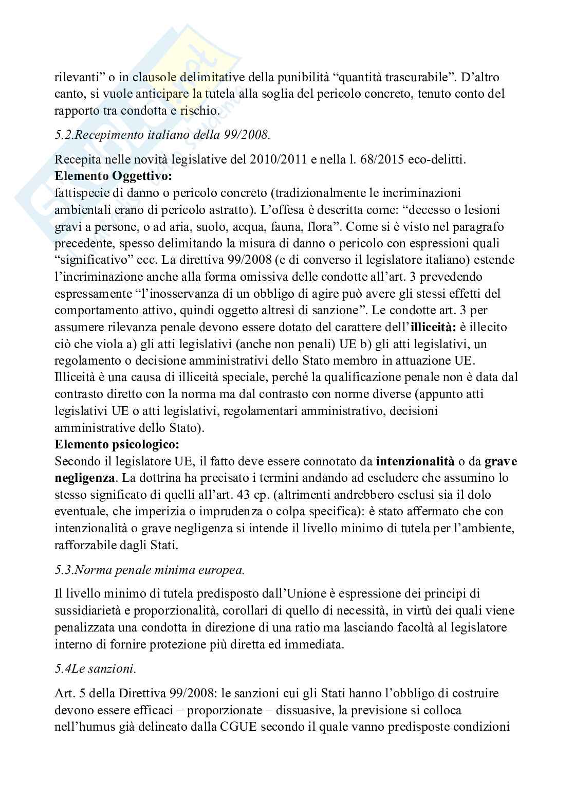 Diritto penale dell'ambiente - Diritto penale d'impresa e reati ecologi Pag. 6