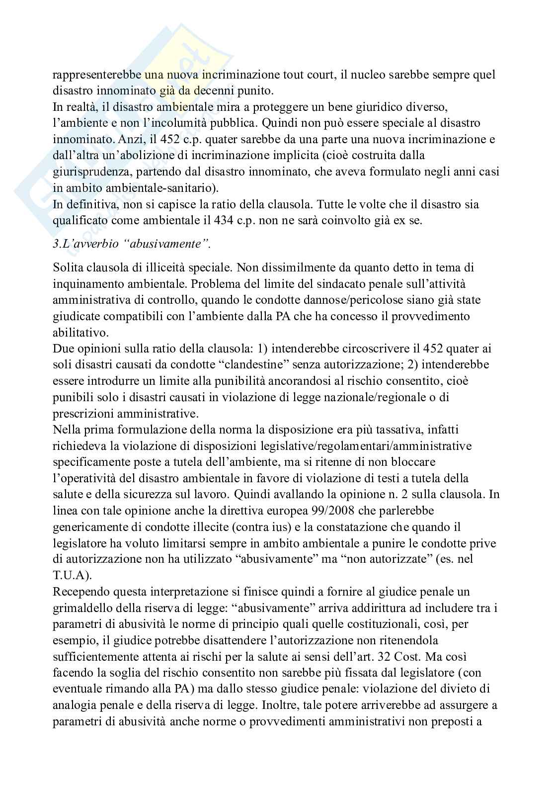 Diritto penale dell'ambiente - Diritto penale d'impresa e reati ecologi Pag. 61