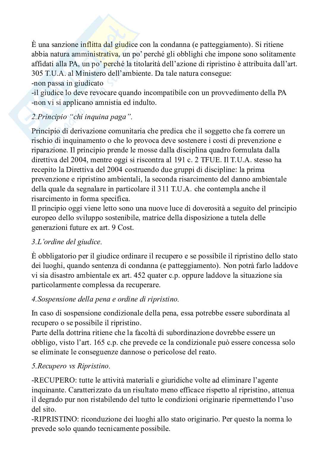 Diritto penale dell'ambiente - Diritto penale d'impresa e reati ecologi Pag. 81