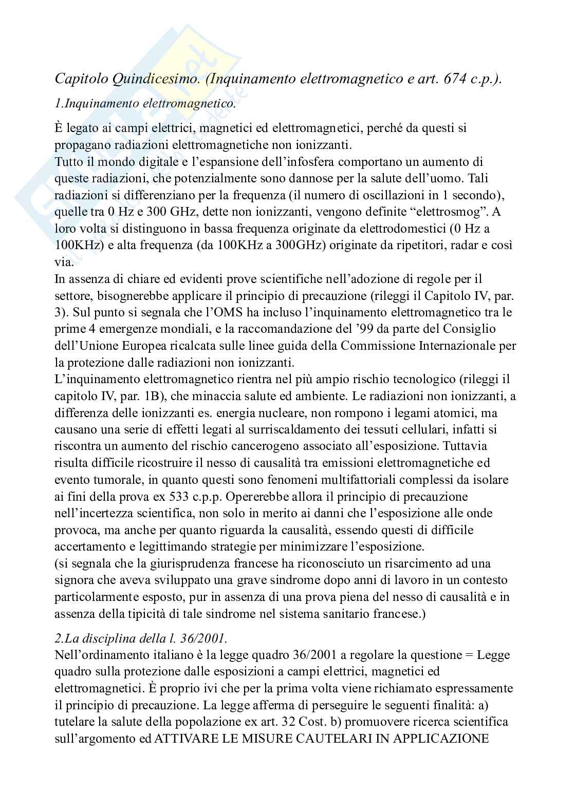 Diritto penale dell'ambiente - Diritto penale d'impresa e reati ecologi Pag. 91