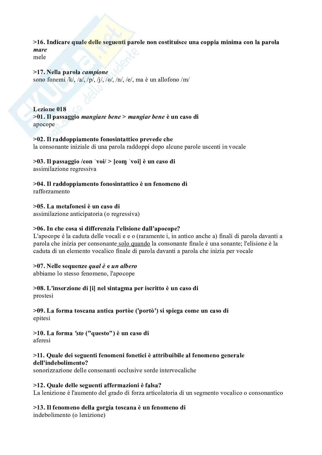 Paniere Linguistica italiana corretto - crocette Pag. 11