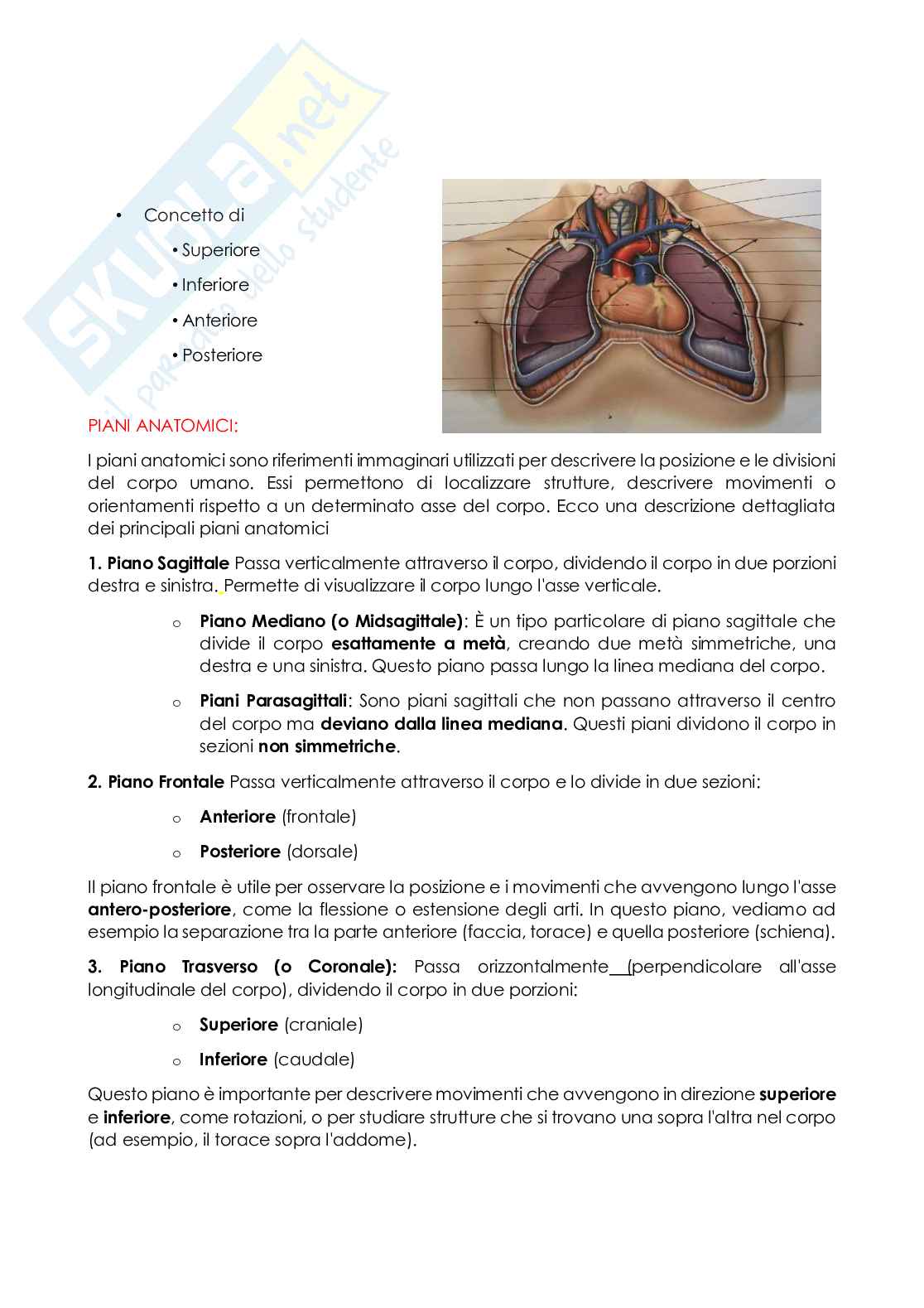 Anatomia e istologia Pag. 11
