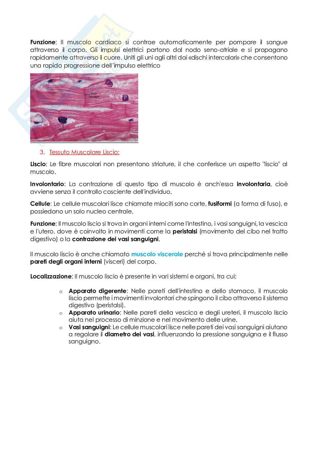 Anatomia e istologia Pag. 36