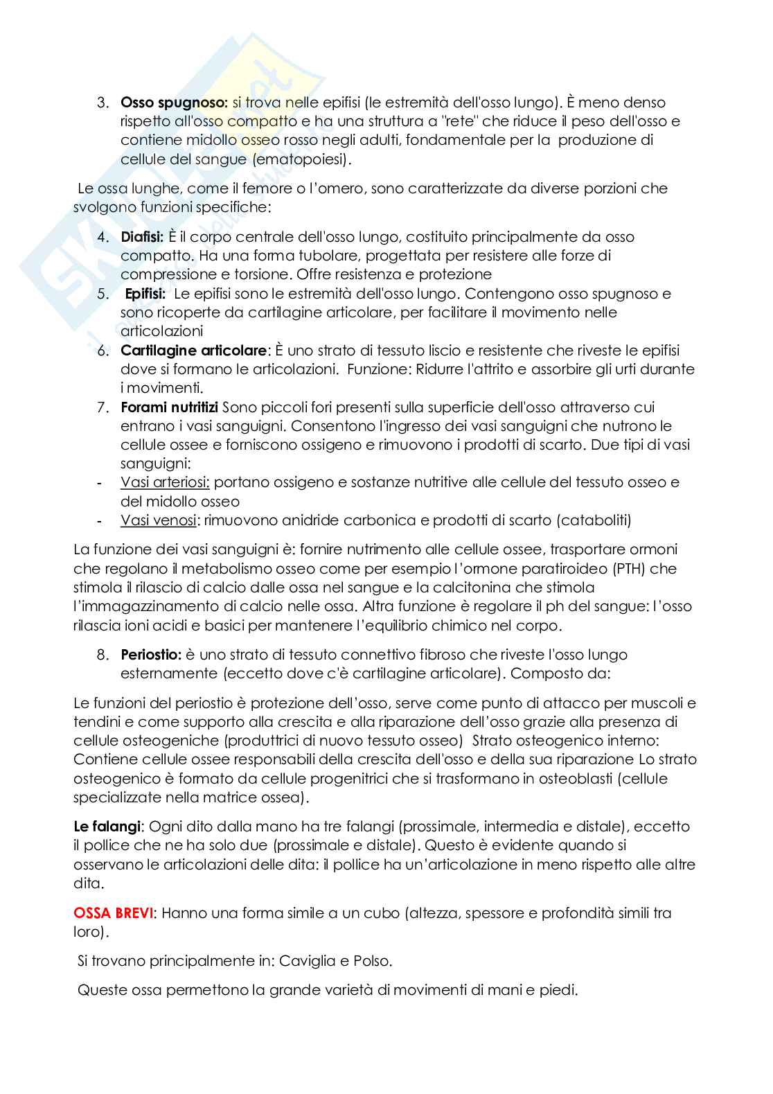 Anatomia e istologia Pag. 41