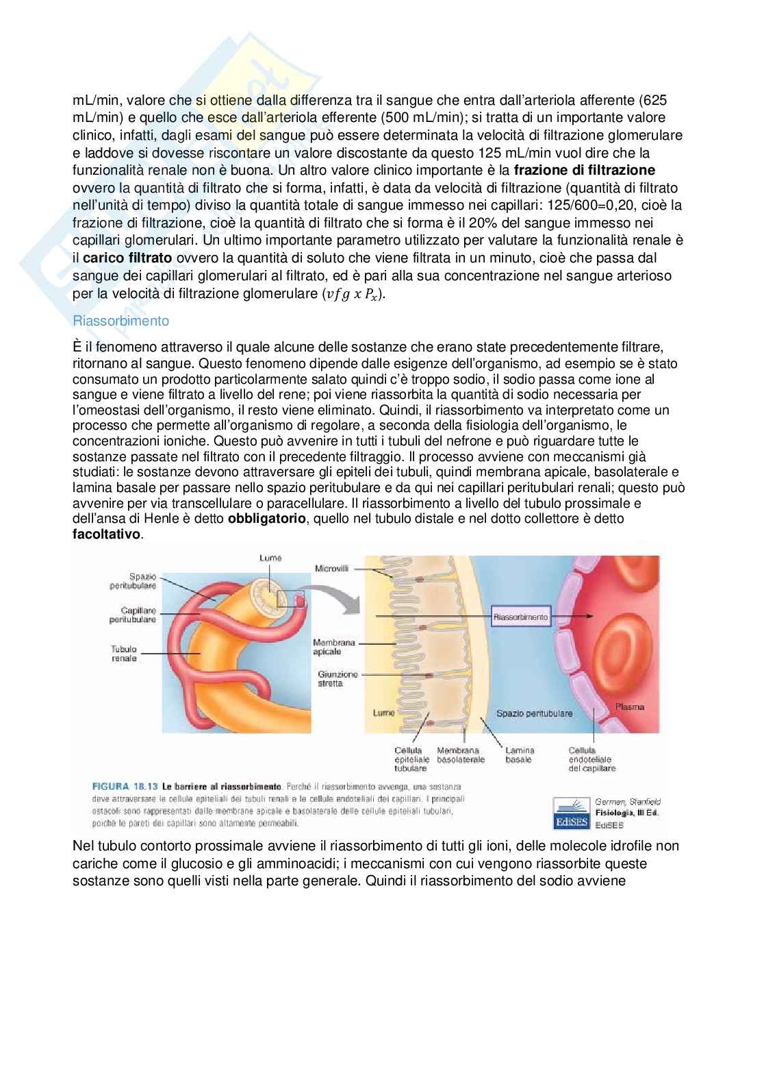 Fisiologia - terza parte  Pag. 6