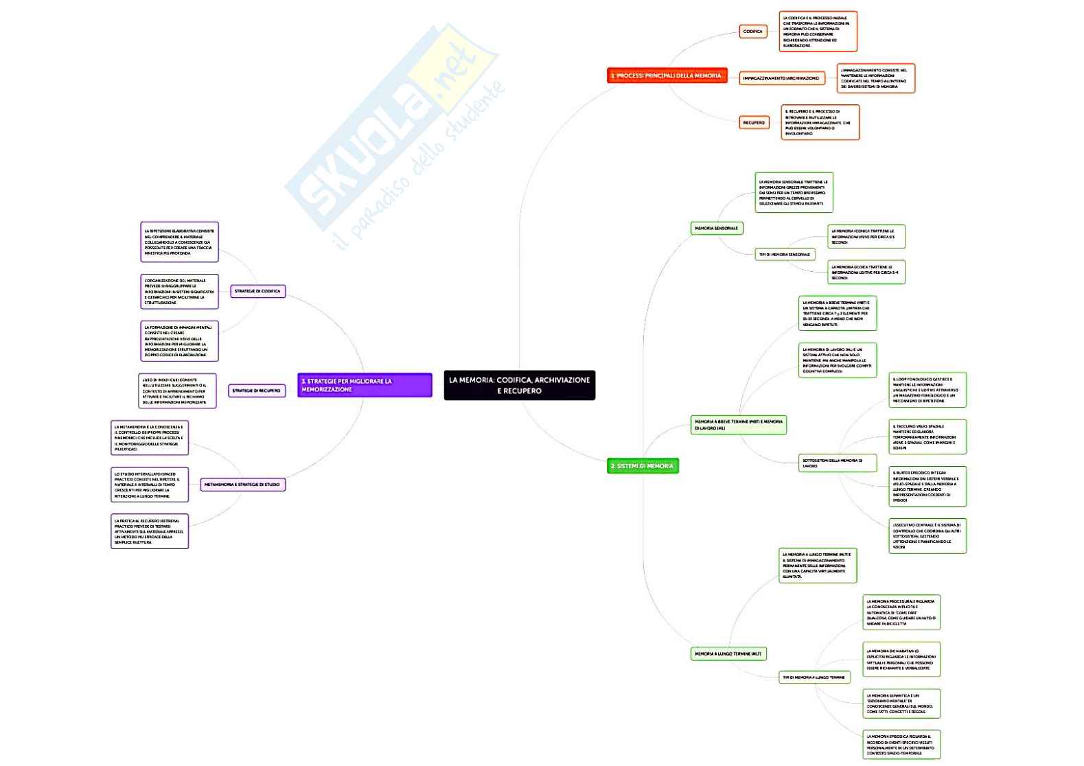 Processi cognitivi, motivazione e apprendimento Pag. 2