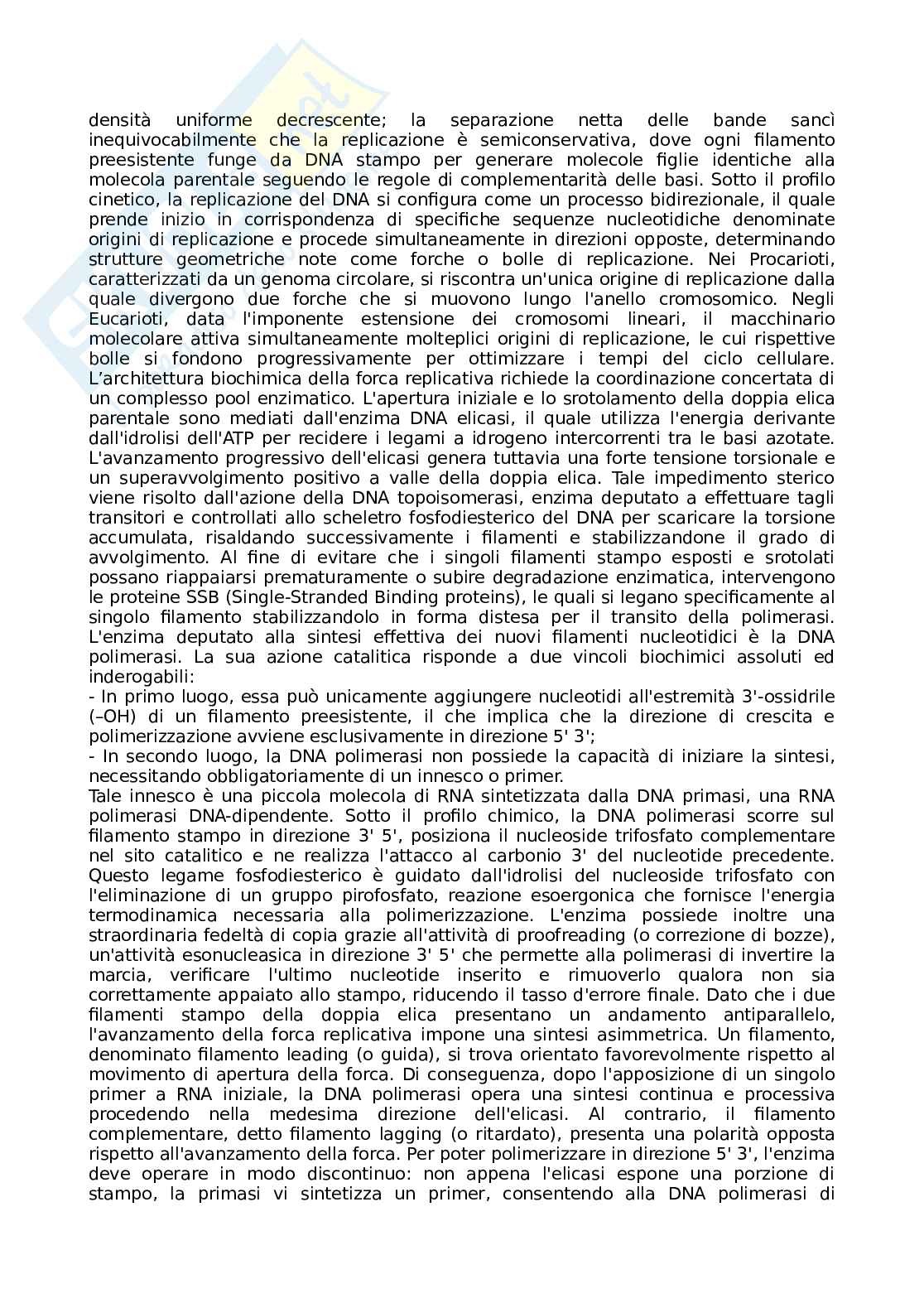 Appunti Basi biologiche e metodi per le bionanotecnologie Pag. 11
