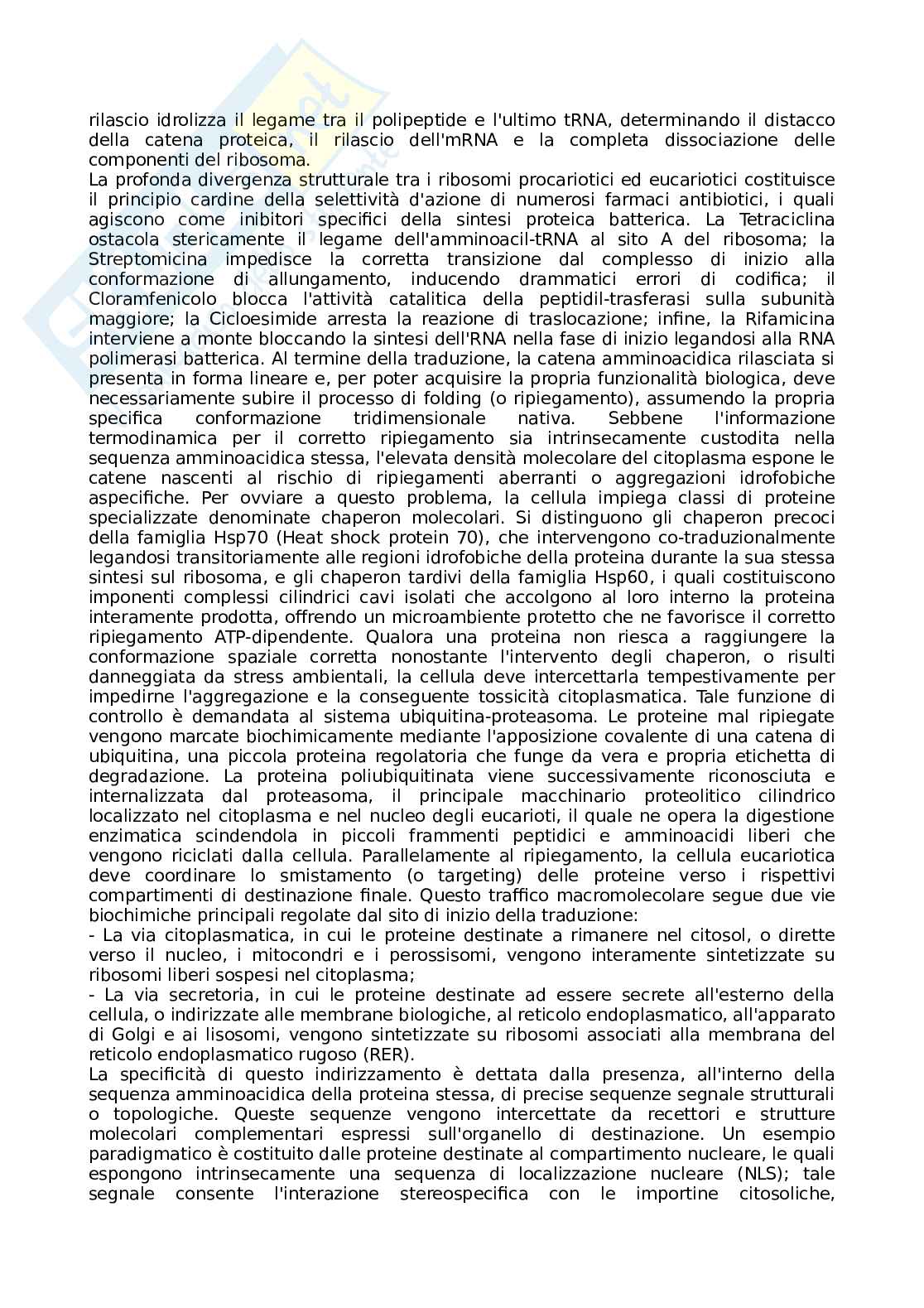 Appunti Basi biologiche e metodi per le bionanotecnologie Pag. 16