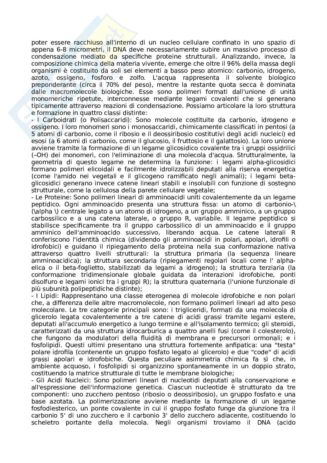 Appunti Basi biologiche e metodi per le bionanotecnologie Pag. 2