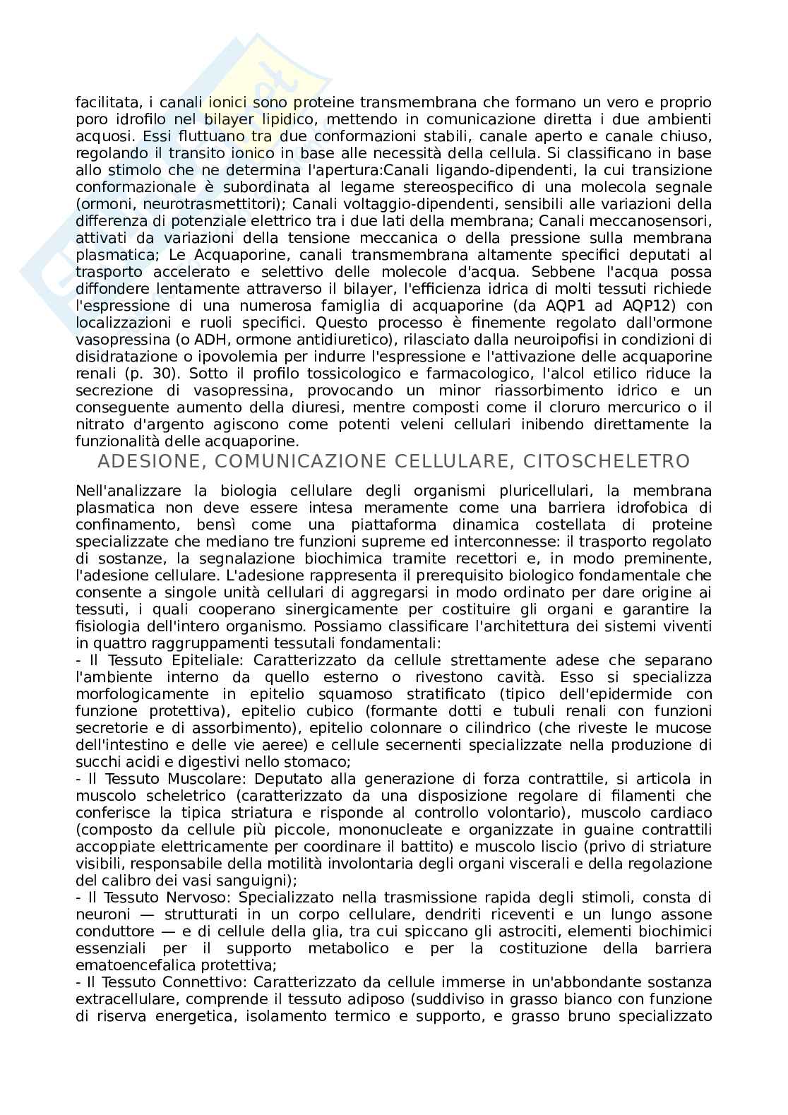 Appunti Basi biologiche e metodi per le bionanotecnologie Pag. 21