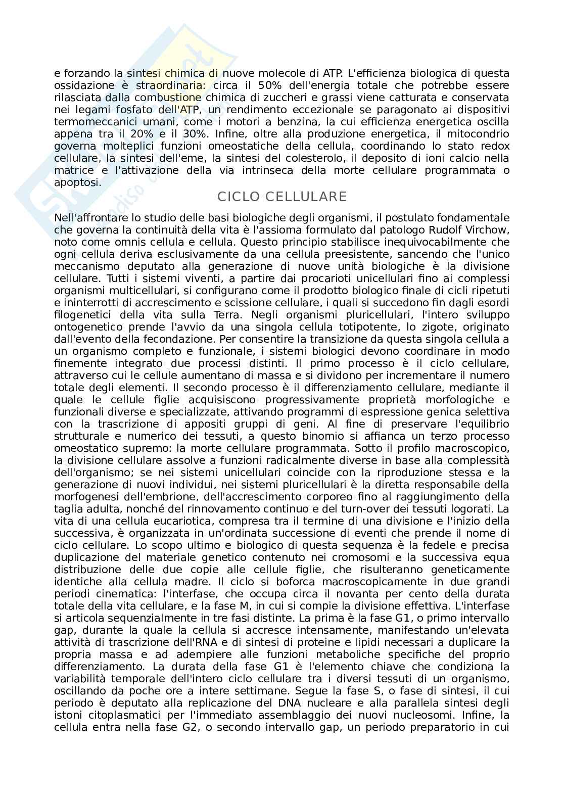 Appunti Basi biologiche e metodi per le bionanotecnologie Pag. 31
