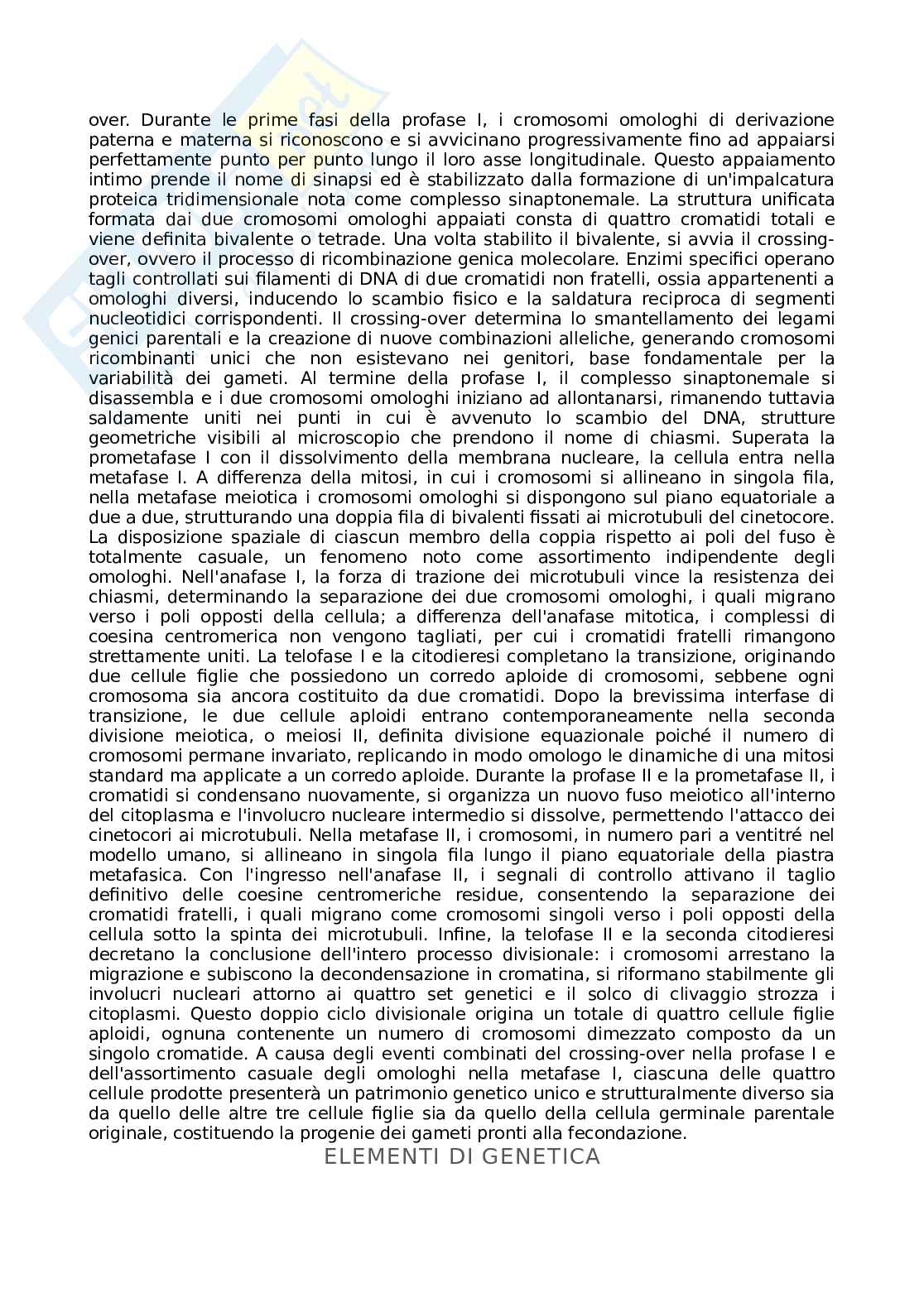 Appunti Basi biologiche e metodi per le bionanotecnologie Pag. 36