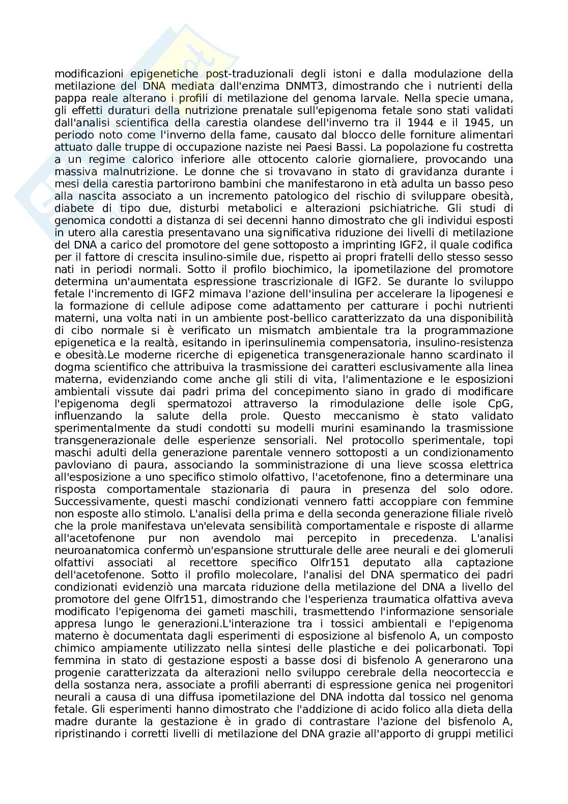 Appunti Basi biologiche e metodi per le bionanotecnologie Pag. 51