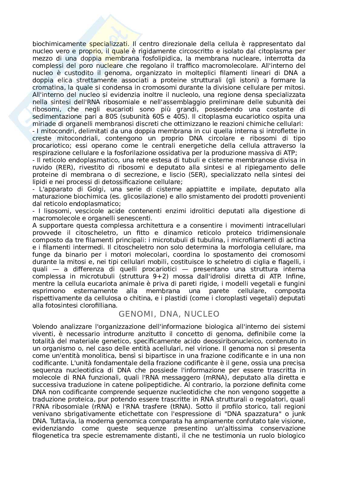 Appunti Basi biologiche e metodi per le bionanotecnologie Pag. 6