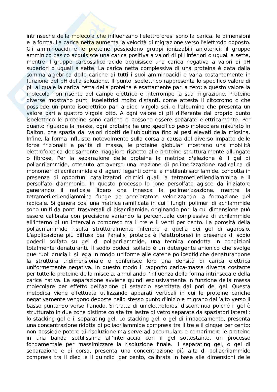 Appunti Basi biologiche e metodi per le bionanotecnologie Pag. 61