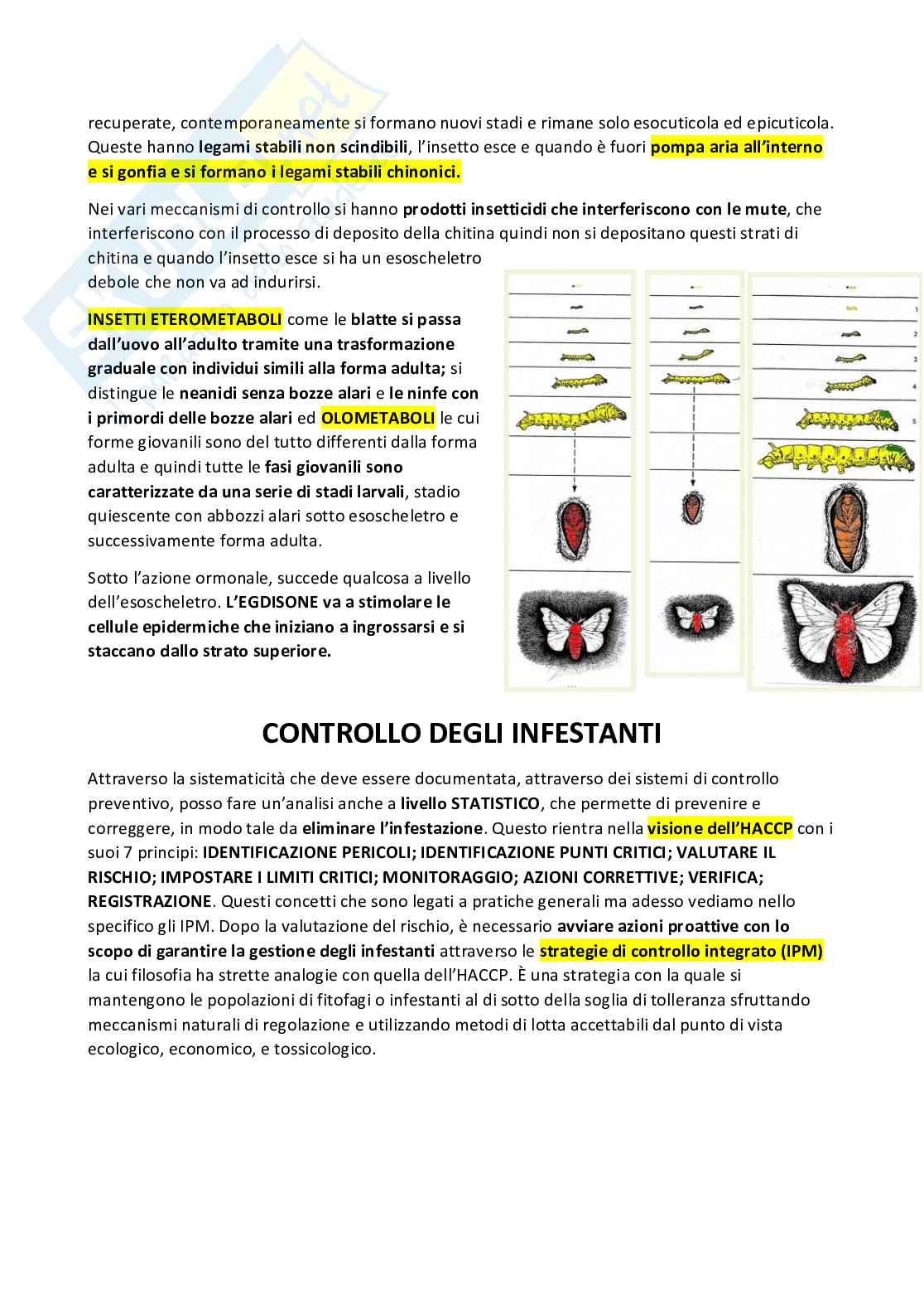  Entomologia merceologica e patologie in post-raccolta Pag. 41