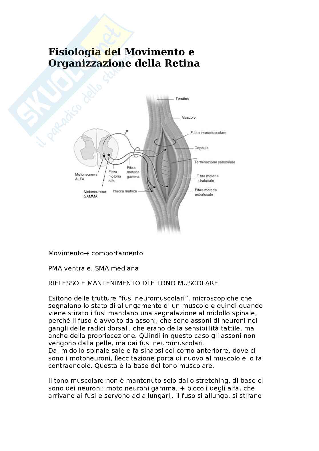 Fisiologia del movimento e organizzazione della retina Pag. 1