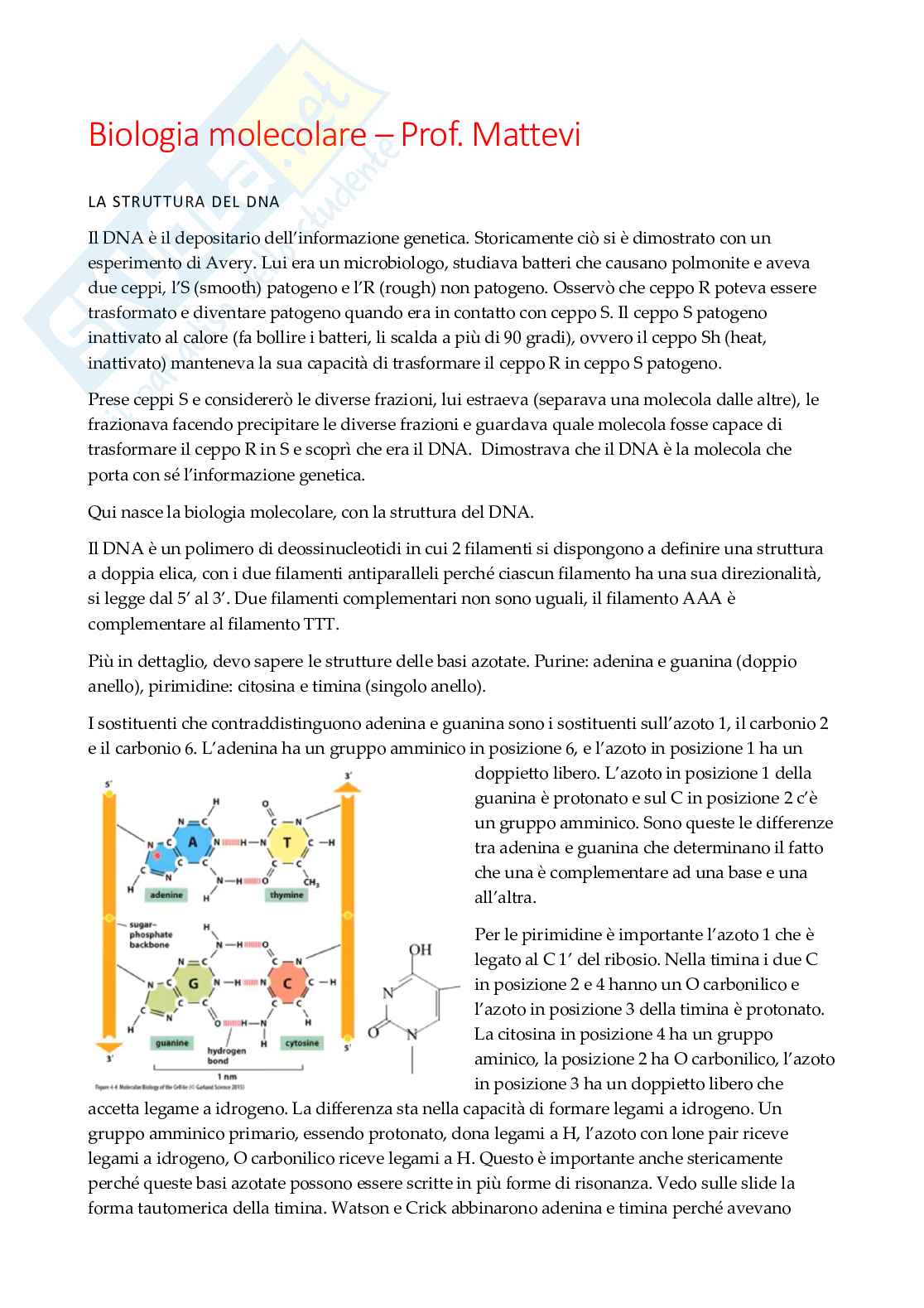Biologia molecolare   Pag. 1