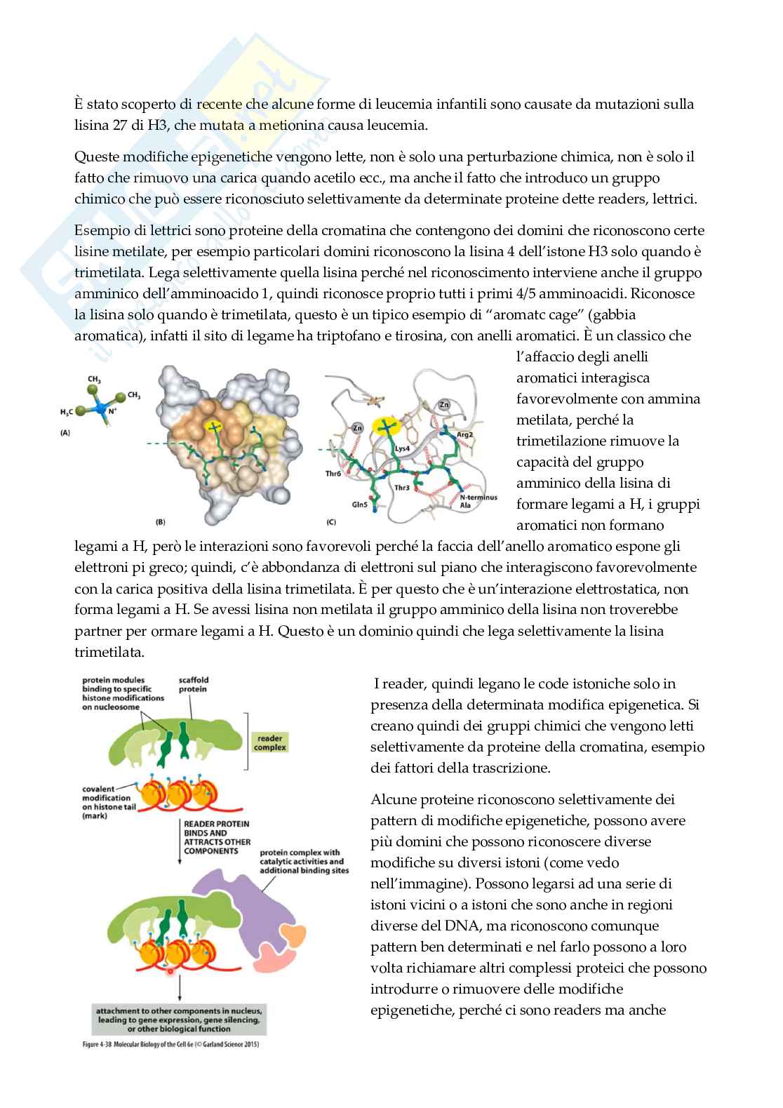 Biologia molecolare   Pag. 11