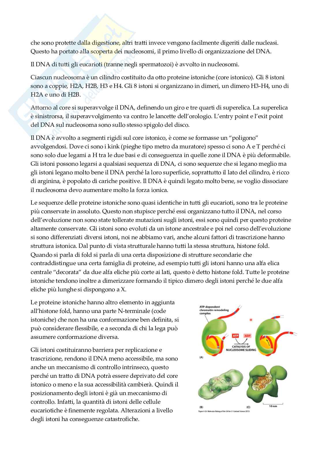 Biologia molecolare   Pag. 6