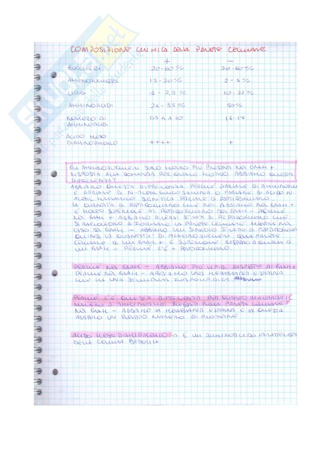 Appunti microbiologia Pag. 11