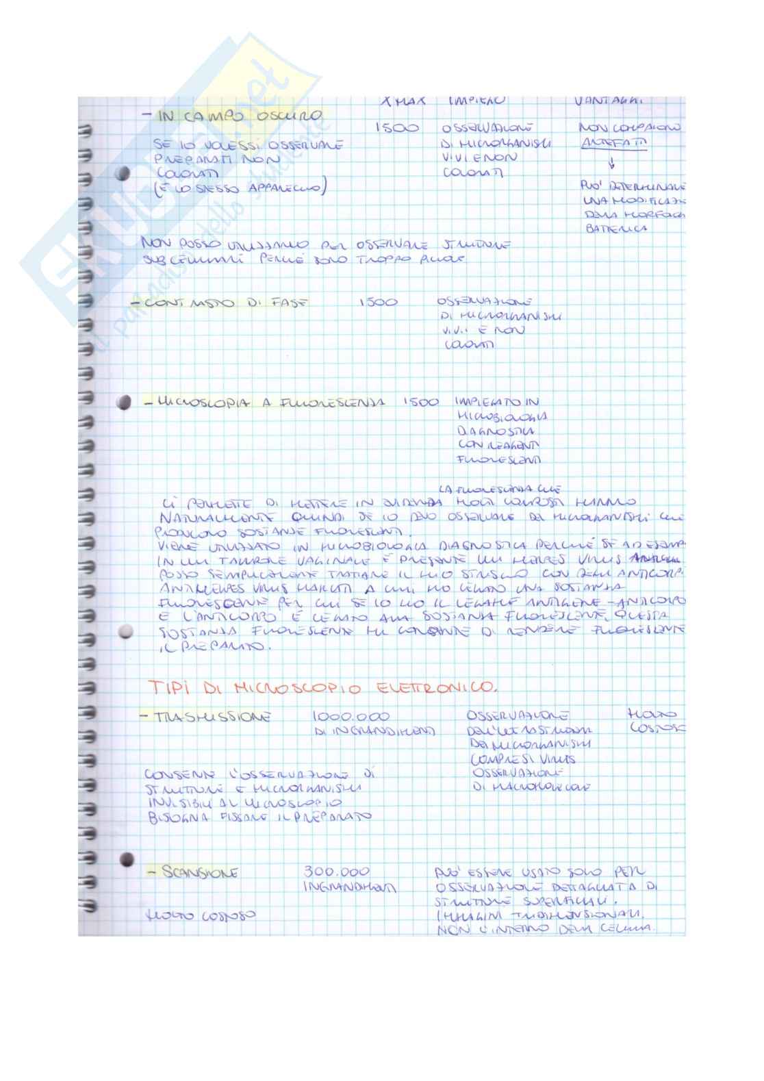 Appunti microbiologia Pag. 41