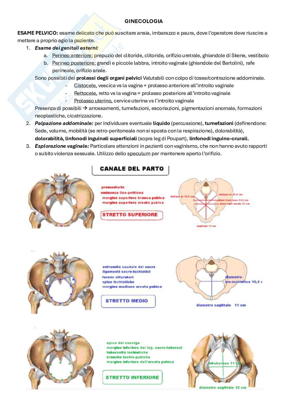 Ginecologia Pag. 1