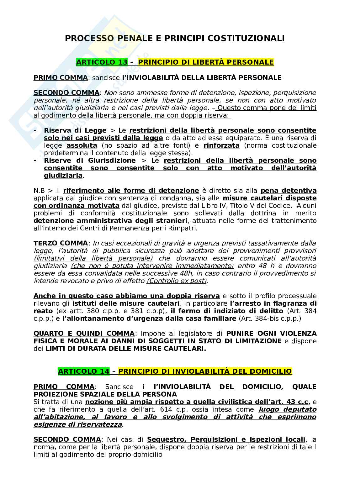 Principi costituzionali del processo penale  Pag. 1