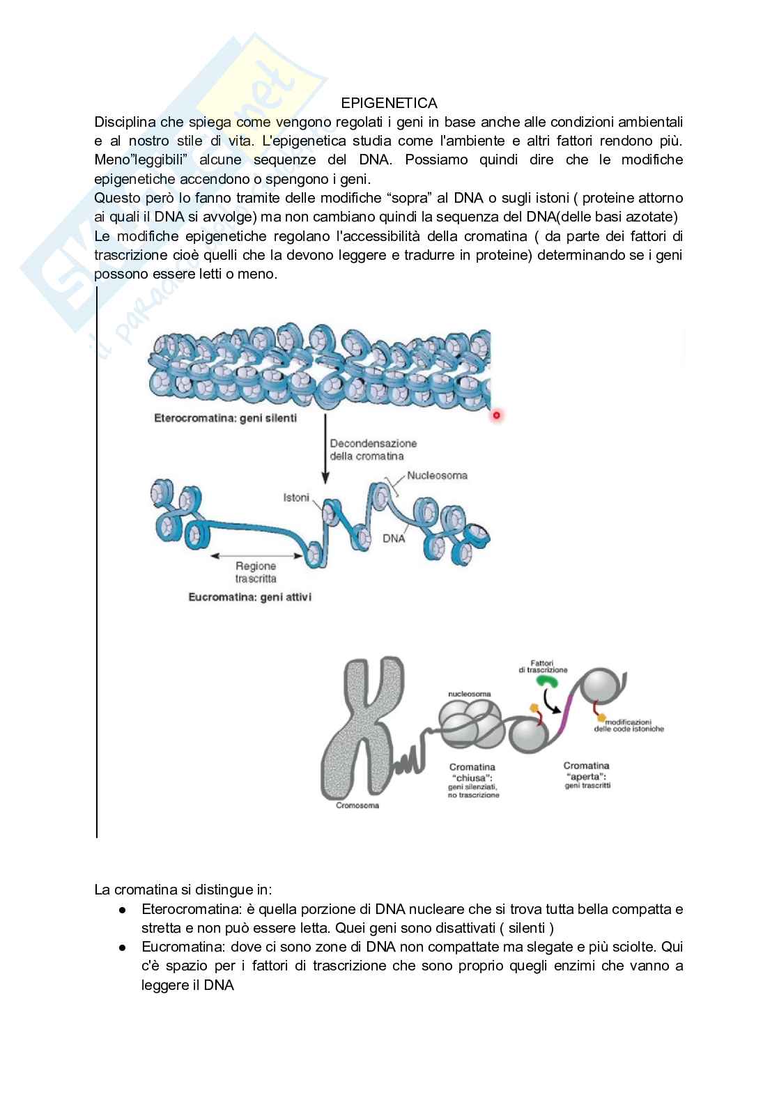 Riassunto esame Biochimica, Prof. Zavattari Patrizia, libro consigliato Biologia molecolare della cellula, Alberts Pag. 1