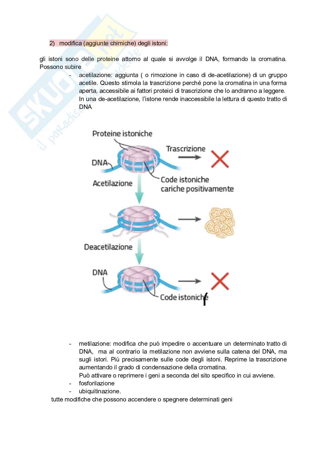 Riassunto esame Biochimica, Prof. Zavattari Patrizia, libro consigliato Biologia molecolare della cellula, Alberts Pag. 6