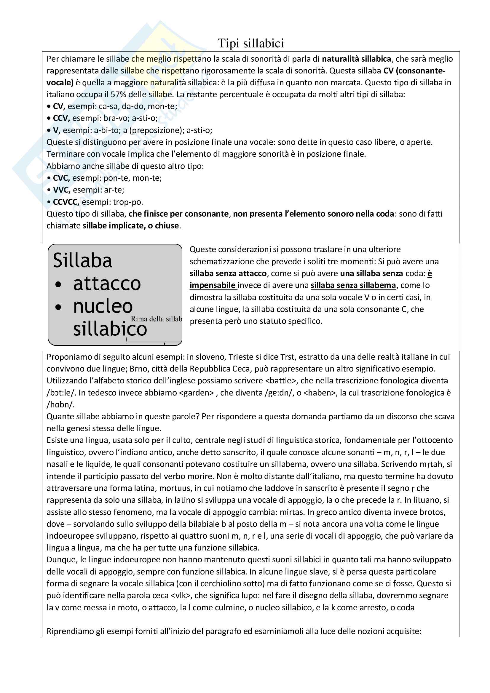 Riassunto esame Linguistica Generale, prof Dini, libro consigliato La linguistica, un corso introduttivo, Berruto Pag. 31