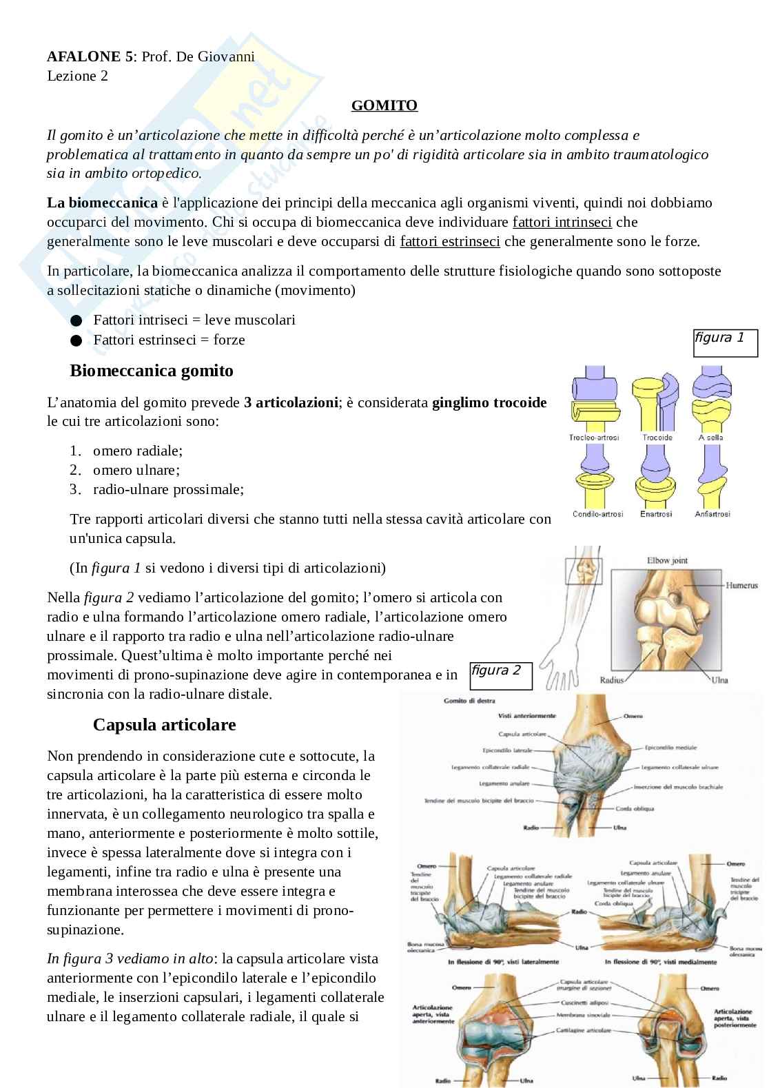 Lezione 2 anatomia funzionale degli apparati locomotore e nervoso Pag. 1