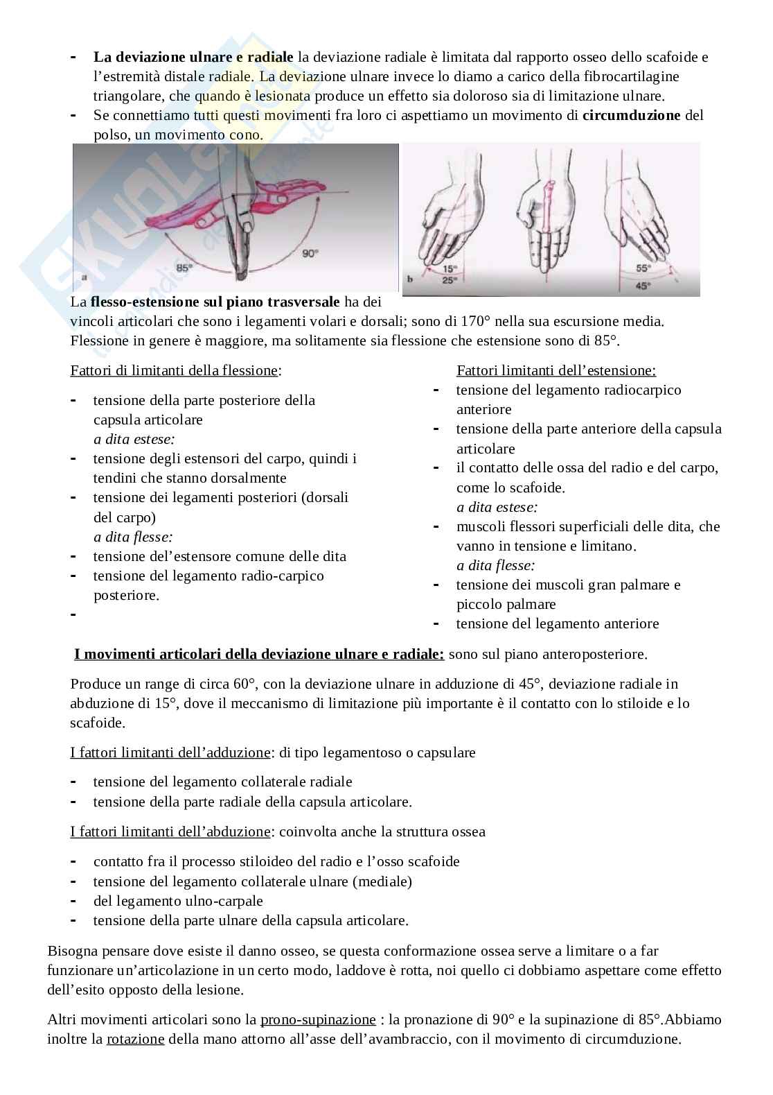 Lezione 2 anatomia funzionale degli apparati locomotore e nervoso Pag. 11