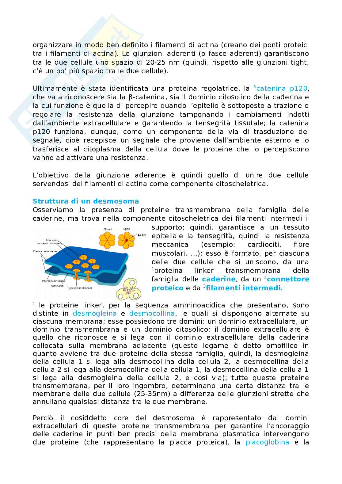 Giunzioni Pag. 6