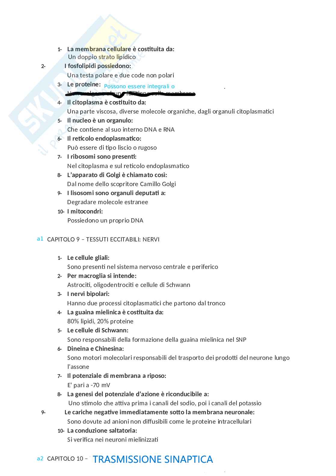 Paniere di Fisiologia applicata allo sport Pag. 6