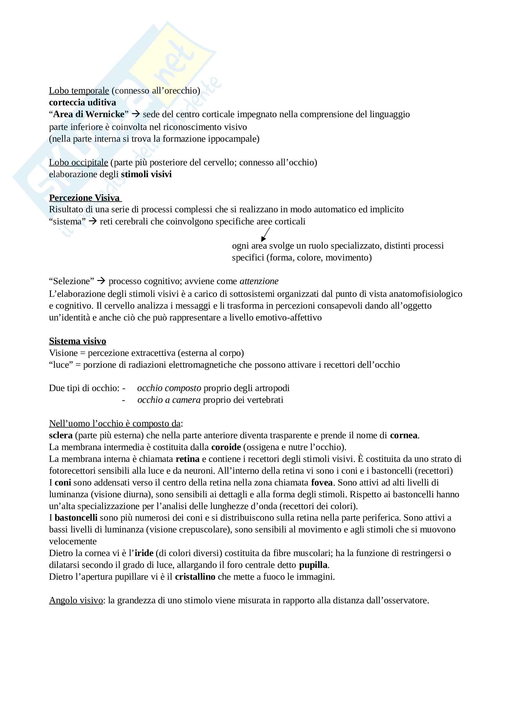 Psicologia cognitiva e della percezione Pag. 2