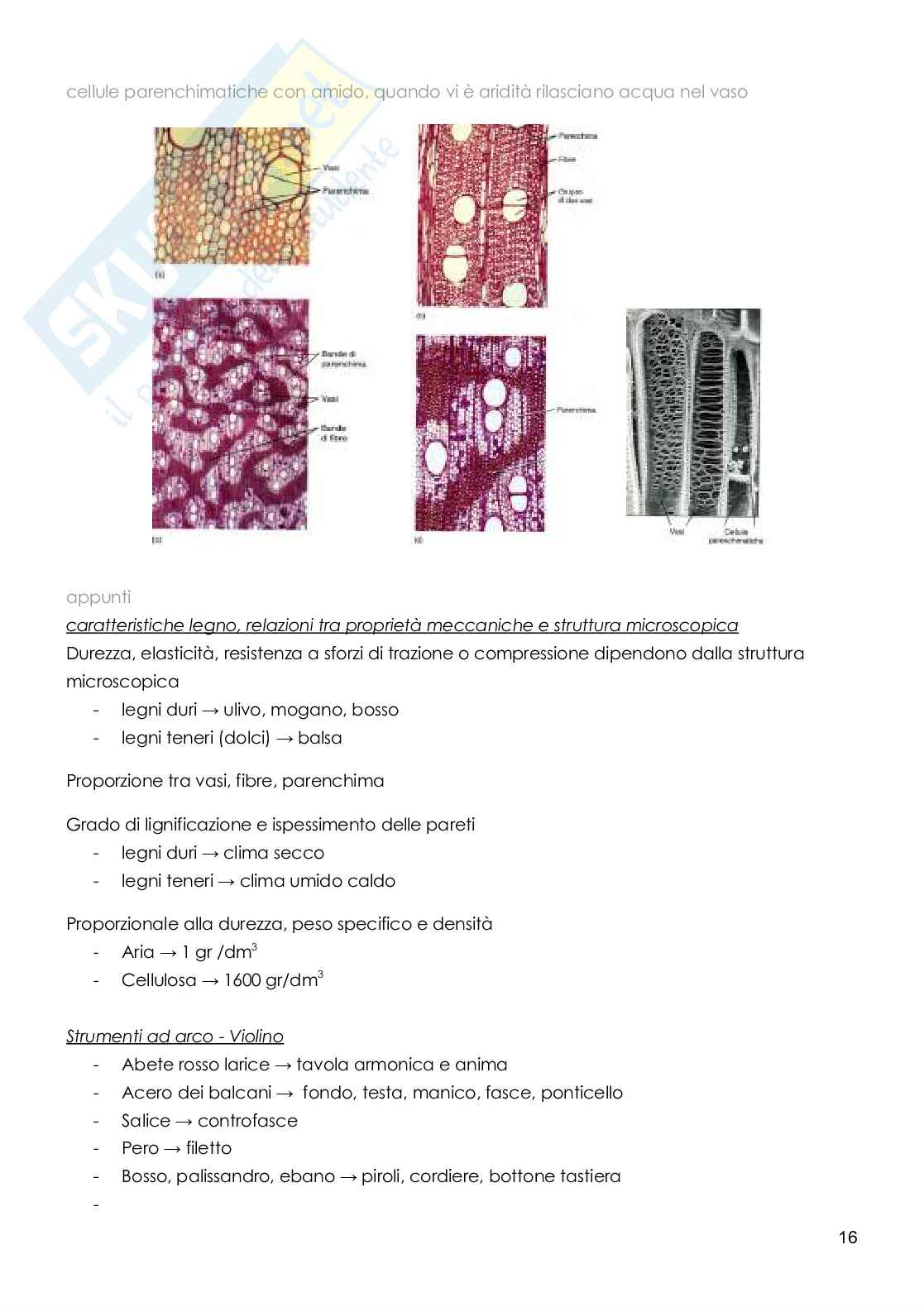 Botanica sistematica Pag. 16