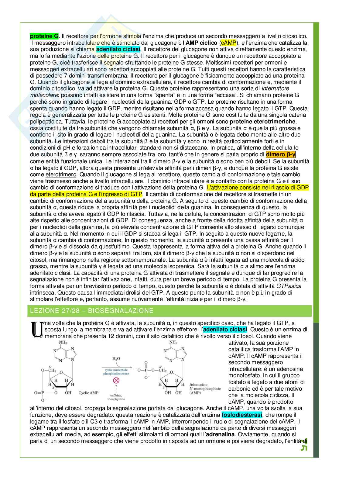 Riassunto esame Biochimica, Prof. Torti Mauro, libro consigliato I Principi di Biochimica di Lehninger, David L. Nelson e Michael M. Cox Pag. 76