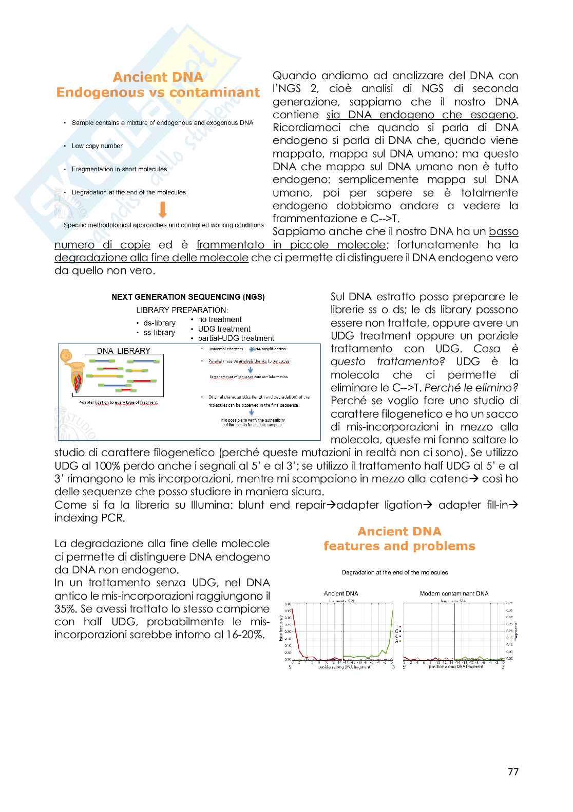 Appunti di Botanica generale sul DNA antico Pag. 1