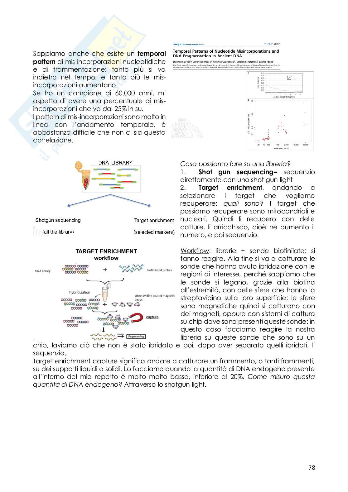 Appunti di Botanica generale sul DNA antico Pag. 2