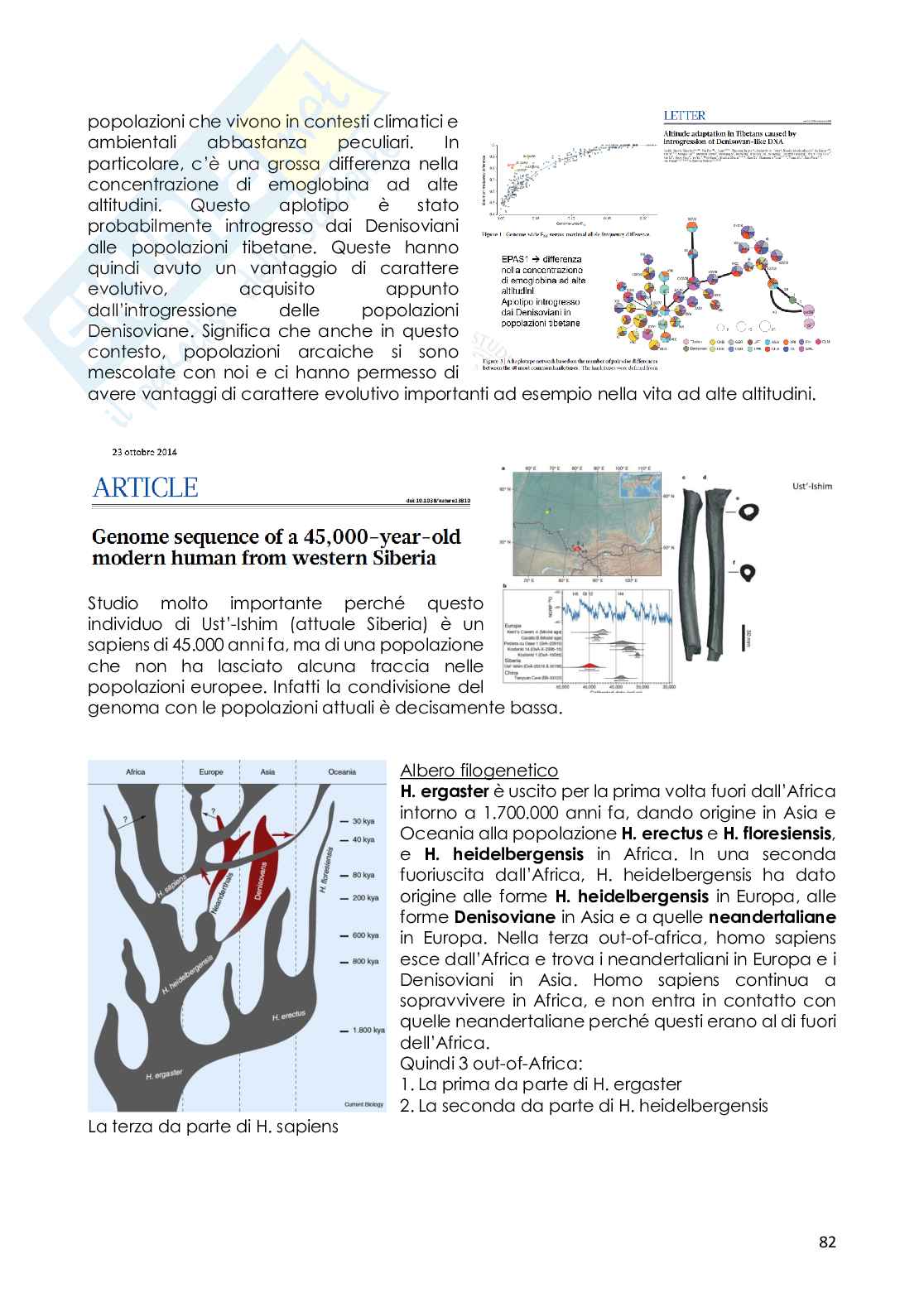 Appunti di Botanica generale sul DNA antico Pag. 6