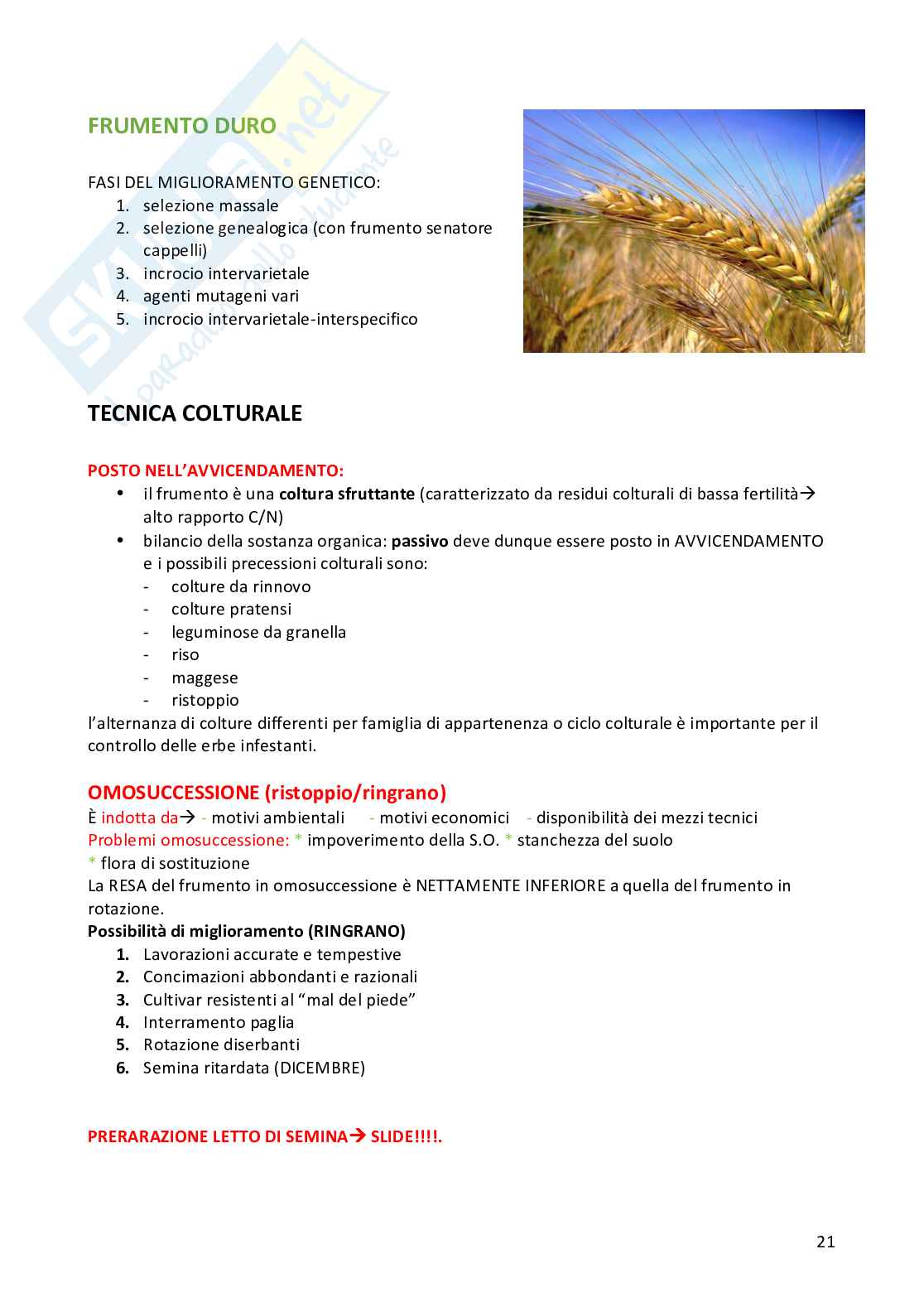 Sistemi colturali erbacei Pag. 21