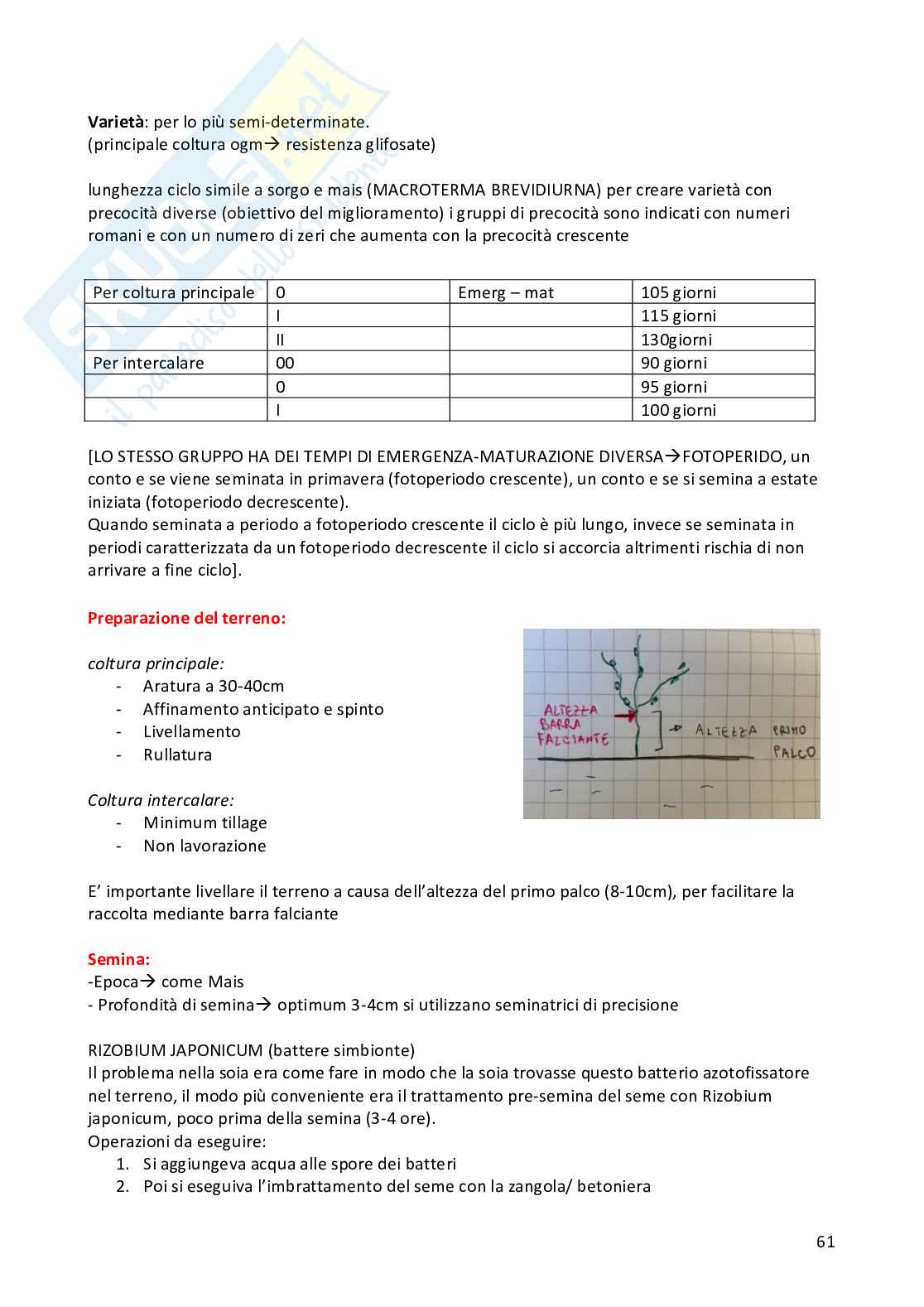 Sistemi colturali erbacei Pag. 61