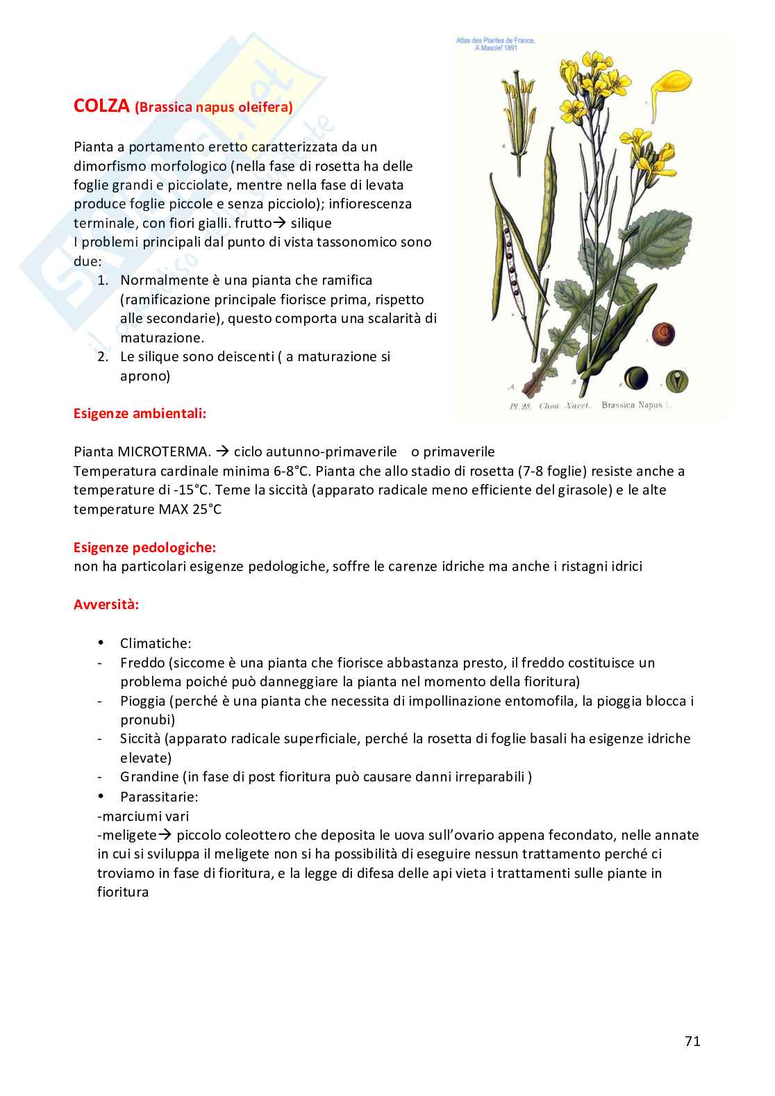 Sistemi colturali erbacei Pag. 71